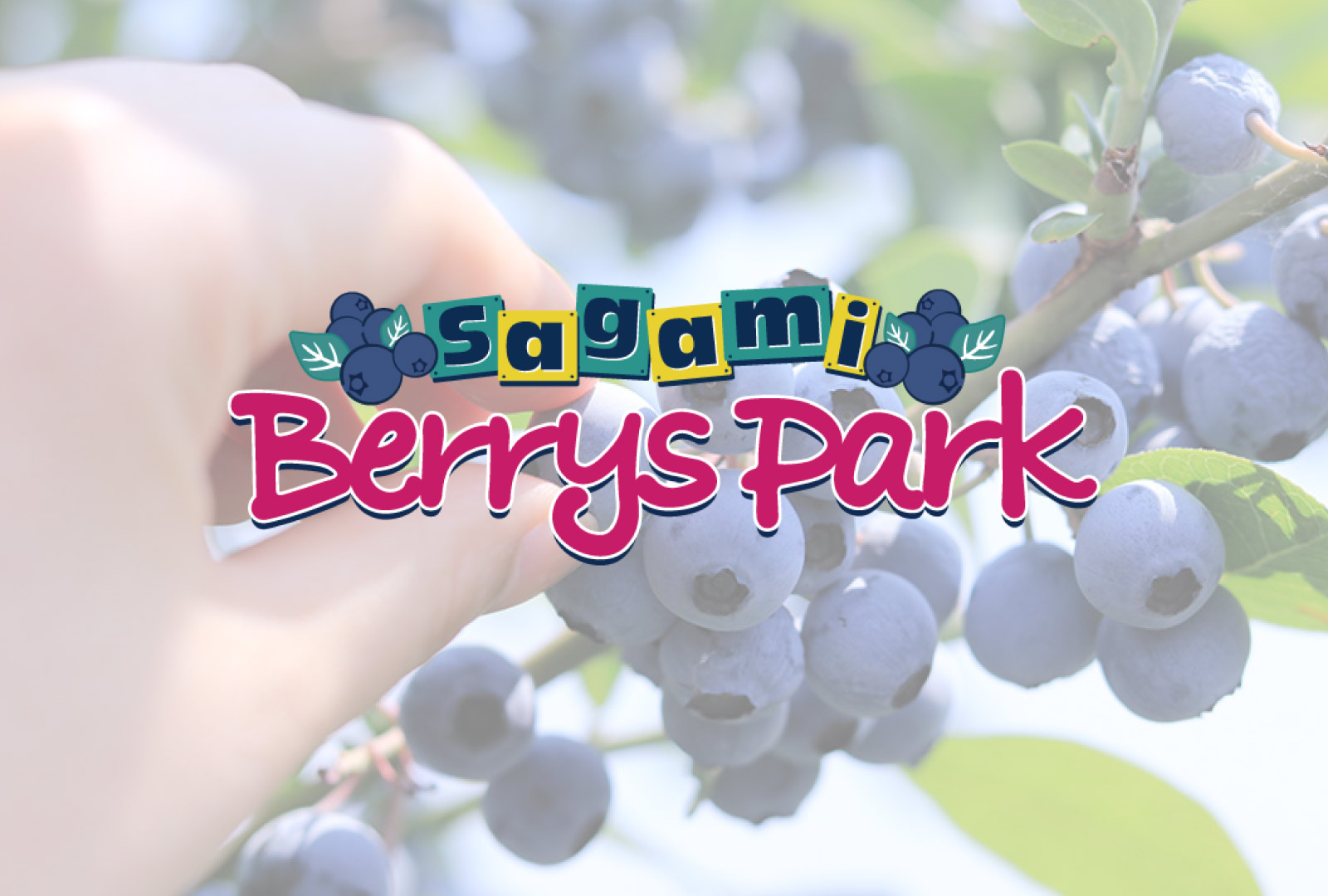 ご予約カレンダー - SAGAMI Berrys Park | サガミベリーズパーク