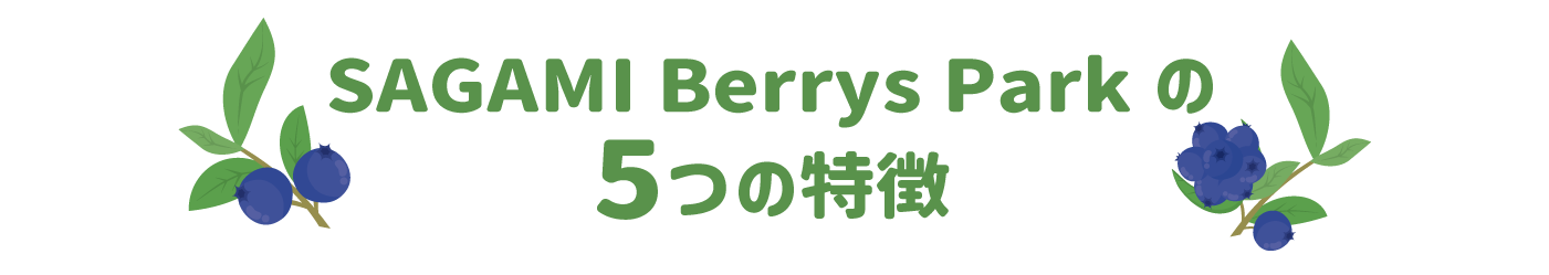 サガミベリーズパーク SAGAMI Berrys Parkの５つの特徴